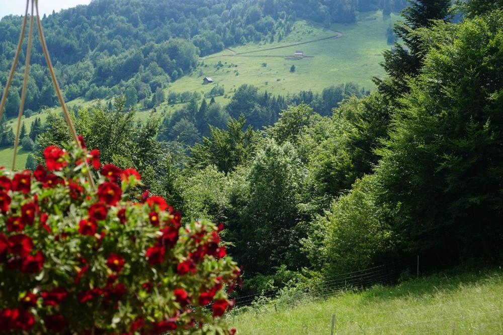 Gorczanskie Siedlisko ออคฮอทนิซา กูร์นา ภายนอก รูปภาพ